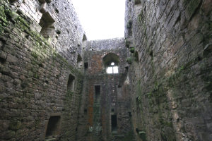 hermitage_castle_inside_300-764871.jpg