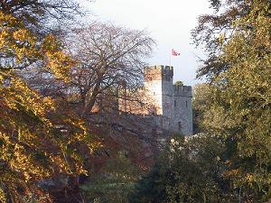 Medieval Castle