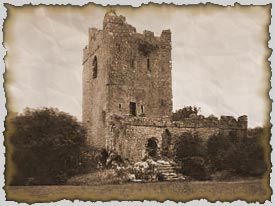 clonony castle, co offaly