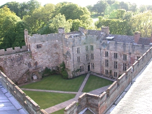 birds eye view of a castle