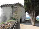 Le Chteau de Chinon - Chinon Castle - France