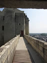 Le Chteau de Chinon - Chinon Castle - France